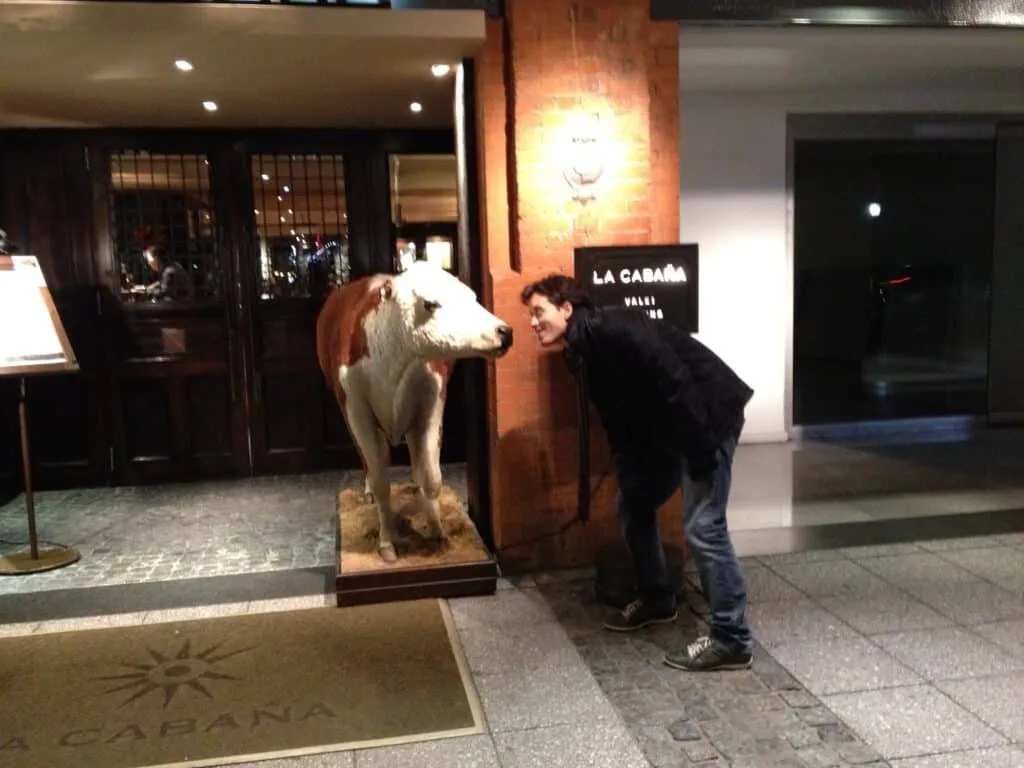 Encarando A Vaca
